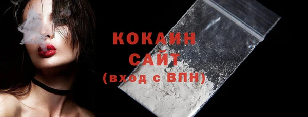 прущие грибы Абинск