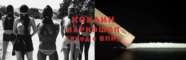 прущие грибы Абинск