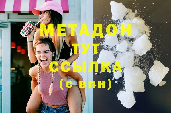 прущие грибы Абинск