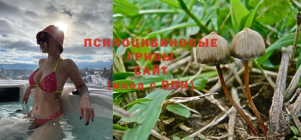 кокс Абдулино