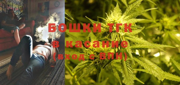 прущие грибы Абинск