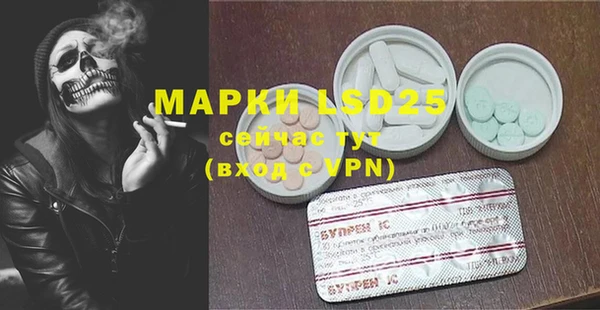 прущие грибы Абинск