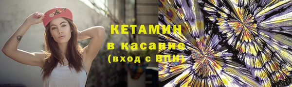 прущие грибы Абинск